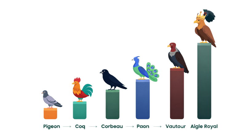 Progression des ligues : Pigeon, Coq, Corbeau, Paon, Vautour, Aigle Royal